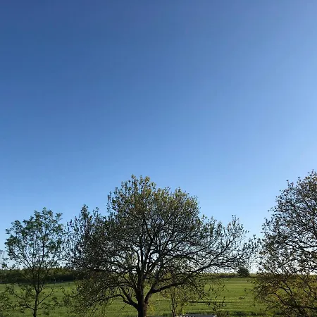 Mit Blick Auf